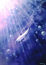 The Dolphin, &COPY;1989, Andrew Forrest